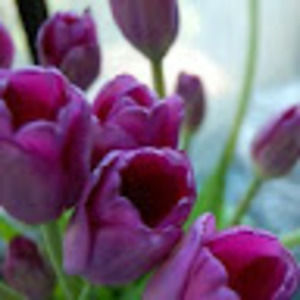 Meet your Posher, Aimee